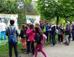 Na Poti ob žici smo skupaj hodili (in se fotkali) za boljši svet