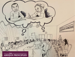 Ste že slišali za Abidžanska načela?