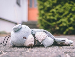 Spomnite se Amadeja z minuto molka